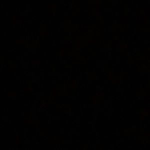 Meet your Posher, Jack